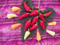 SCEA HERBA HUMANA - Piment frais Rio Grande 1kg