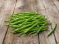 Nature et Saveurs - Ferme Aquaponique et Permacole Astérienne - Haricots verts fins (calibre 6,5–9 mm)