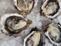 Camargue Coquillages - Huitres La Perle de Camargue N°3 - 6 douzaines