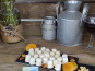 Boutique Boisette - Boite de 25 apérifroms 70g