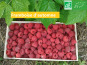 LES JARDINS DE KARINE - Framboise d'Automne surgelée - 1 kg