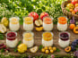 Gaec de l'Elanion - Lot de 16 yaourts fruit du verger