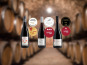 Domaine de la Chopinière du Roy - Coffret Or et Argent - 3 bouteilles de vins rouges Saint Nicolas de Bourgueil médaillés - 3 x 75 cl