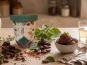 Chaloin Chocolats - Crème glacée chocolat