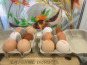 La Ferme Durbois - Oeufs fermiers plein air x12