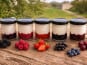 Gaec de l'Elanion - lot de 10 fromages blancs fruits rouge
