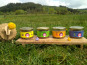 Ferme revenons à nos moutons - Lot de 4 terrines d'agneau 720g