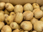 L'OLIVERAIE DU COUDON - KIWI VERT  6KG    CATEGORIE 2    ###  IL SONT DE RETOUR ####