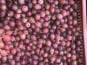 La Ferme des petits fruits - [SURGELÉ] Groseilles à maquereaux BIO - 1KG