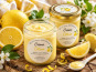 Gaec de l'Elanion - Crème Citron X2