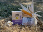 Grain Pop - Maïs à Popcorn saveur Vanille - 10 étuis