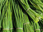 Nature et Saveurs - Ferme Aquaponique et Permacole Astérienne - Ciboulette fraîche – fine, parfumée, irrésistible