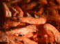 Thalassa Tradition - Crevettes roses 30/50 1kg