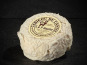 Les Affineurs des Volcans - Cabicou du Cantal Maury | Entier 100g