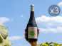 Domaine de la Perrée - Saint Nicolas de Bourgueil Rouge - Vignerons en Herbe 2022 x3