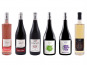 Domaine de la Perrée - AOC Saint-Nicolas-de-Bourgueil & Bourgueil - Coffret Découverte 6 bouteilles