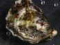 Camargue Coquillages - Huître N°000 - 1 kg
