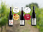 Domaine de la Chopinière du Roy - Coffret cadeau "A la découverte des vins rouges de Loire "- 3 x 75 cl