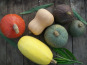 SCEA HERBA HUMANA - Courges classiques en mélange 5kg