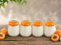 Gaec de l'Elanion - Yaourt Confiture Abricot x4