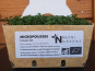 Ma Micropousse culinaire - Micro pousses de cresson Bio 8 barquettes