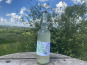 Ferme Sinsac - Pétillant de Verveine sans alcool