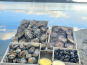 Huitres Damerose - Plateau de fruits de mer Grande Marée