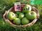 LES JARDINS DE KARINE - Pommes vertes à pectine - 10kg