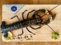 La Criée d'à Côté - Homard Bleu Européen Vivant - 450 à 550g