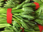 Trapon Champignons - Asperges Des Bois - 5 X 200 G