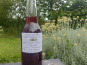 Rébecca les Jolies Fleurs - Sirop botanique d'exception
