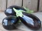 La Boite à Herbes - Aubergine Bio 1kg