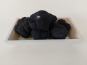 ALENA la Truffe d'Aquitaine - Truffe noire du Périgord fraîche (tuber melanosporum) - 250g