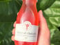 Maison Vermes - Producteurs de Rhubarbes - Lot de 20 bouteilles de Nectar de rhubarbe en 25cl