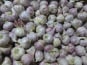 La Ferme De Jérôme - Ail Rose - Ail Rose Petit Calibre  - 1kg