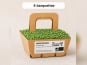 Ma Micropousse culinaire - Micro-pousses bio de roquette - 4 barquettes