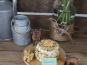 Boutique Boisette - Chèvre enrobé noix 150g