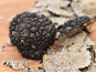 Truffes des Roches - Truffe d'été - 200g