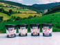Les Glaces de la Vallée - Coffre découverte Mini crèmes glacées "la Vallée" 12 pots de120 ml 3 x  4 parfums