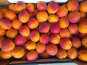 Vergers des brunots - Abricots IGP des Baronnies - Orangered 5 kg