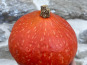 Domaine Reverchon - Potimarron 1.5kg