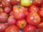 Gourmets de l'Ouest - Assortiment de tomate de Saint-Malo, cat. 2, origine France