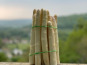Les Asperges et Framboises du Soissonnais - Asperges Blanches Calibre 16-22 -10kg