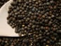 Maréchal Fraicheur - Lentilles BIO - 500 gr