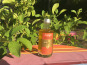 Huile des Orgues - Huile d'Olive Parfumée à la Mandarine de Menton - 100 ml