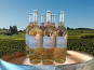 Château Haut-Lamouthe - Côtes de Bergerac Moelleux 6x75cl