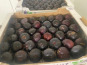 L'OLIVERAIE DU COUDON - FIGUES DE SOLLIES EN PLATEAU  ( 1kg6 environ)