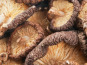 La Carrière du Bienheureux - Shiitake déshydraté Bio - 100g