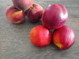 Massot Delphine et Garrigue Marc - Pack promo 4kg peche ou nectarine + 8kg peche ou nectarine pour jus ,compote ou confiture.