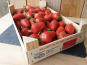 Gourmets de l'Ouest - Fraises de Saint-Malo - plateau 1kg